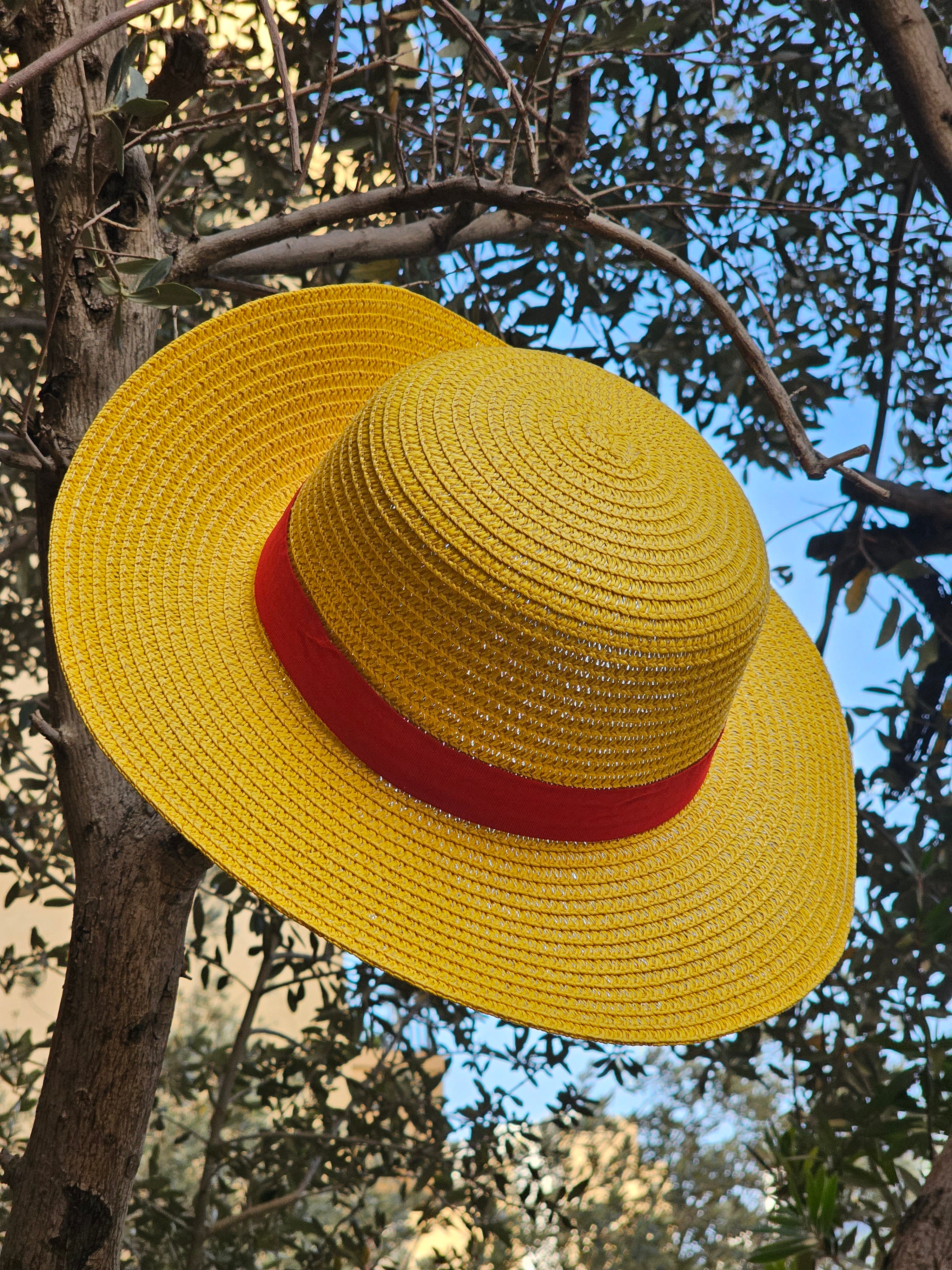 Luffy Hat png images