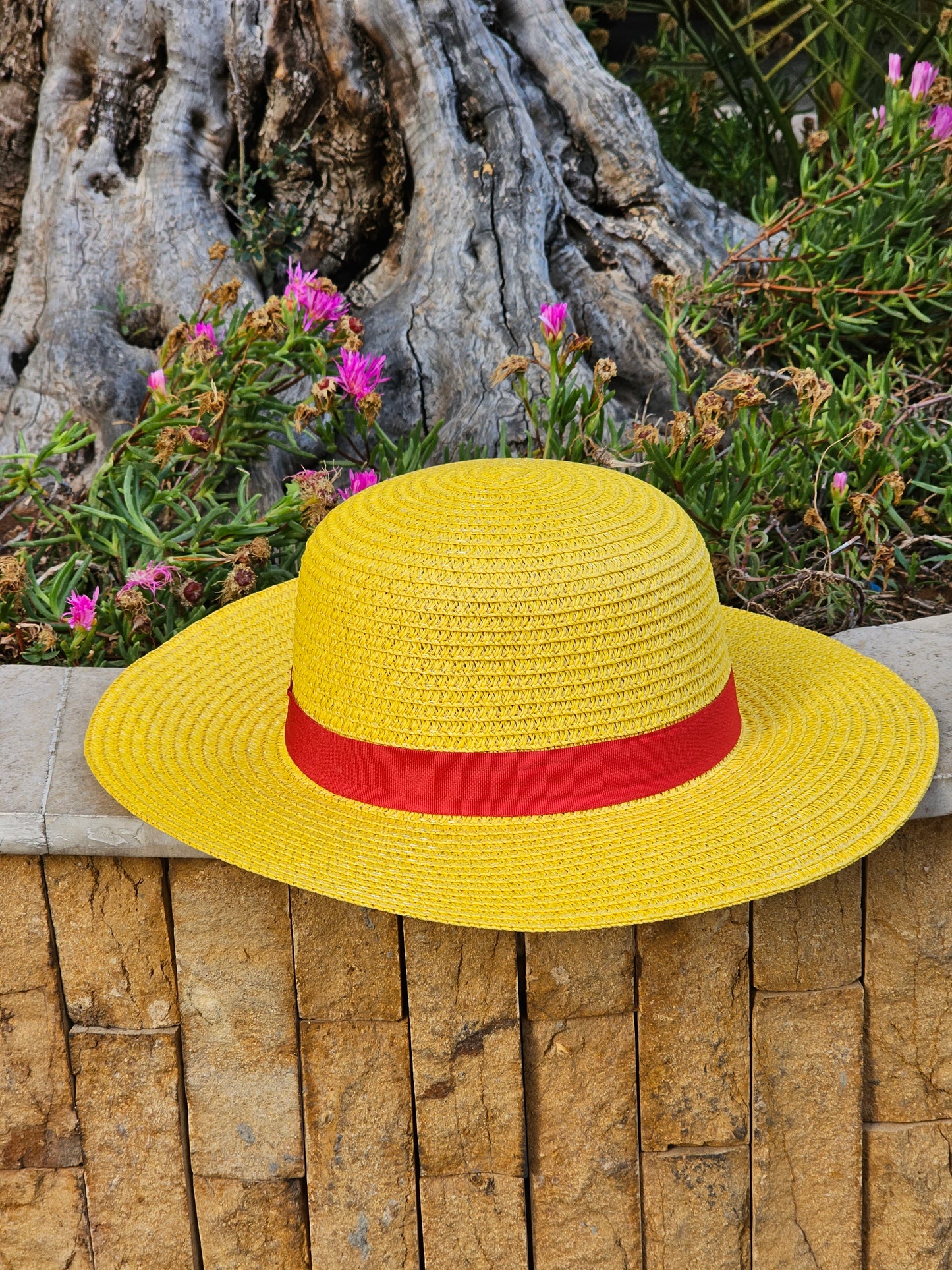 One Piece: Luffy’s Straw Hat