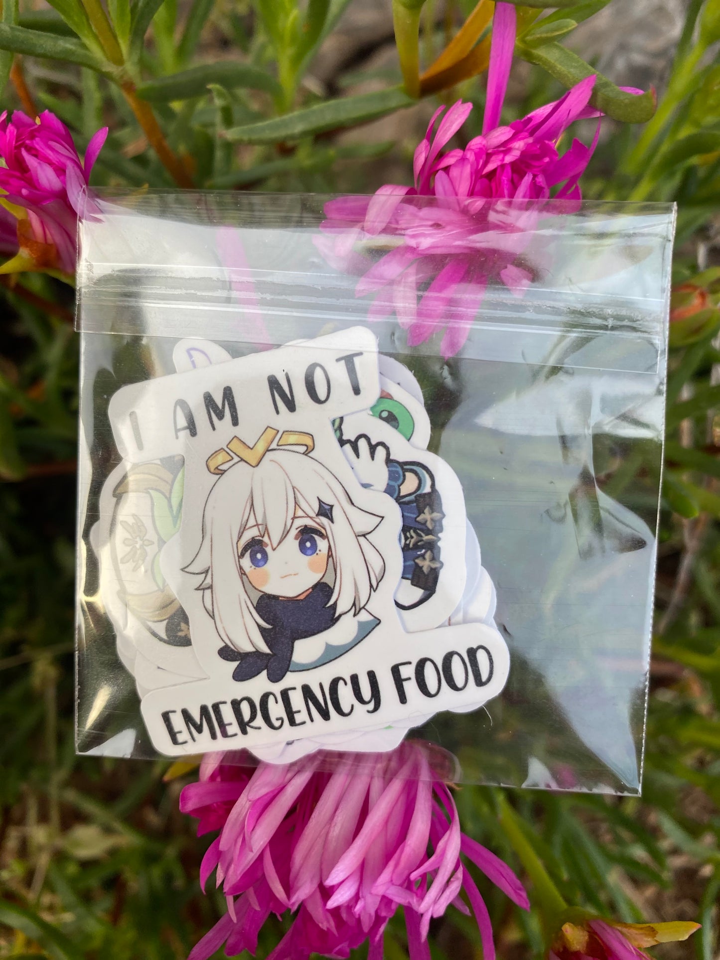 Genshin Impact: Sticker Pack